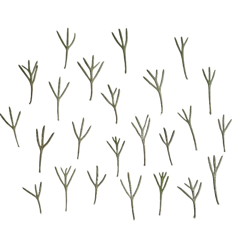 Resin Art Baby - 24pcs,Real Pressed Achillea Leaves Dried Flower