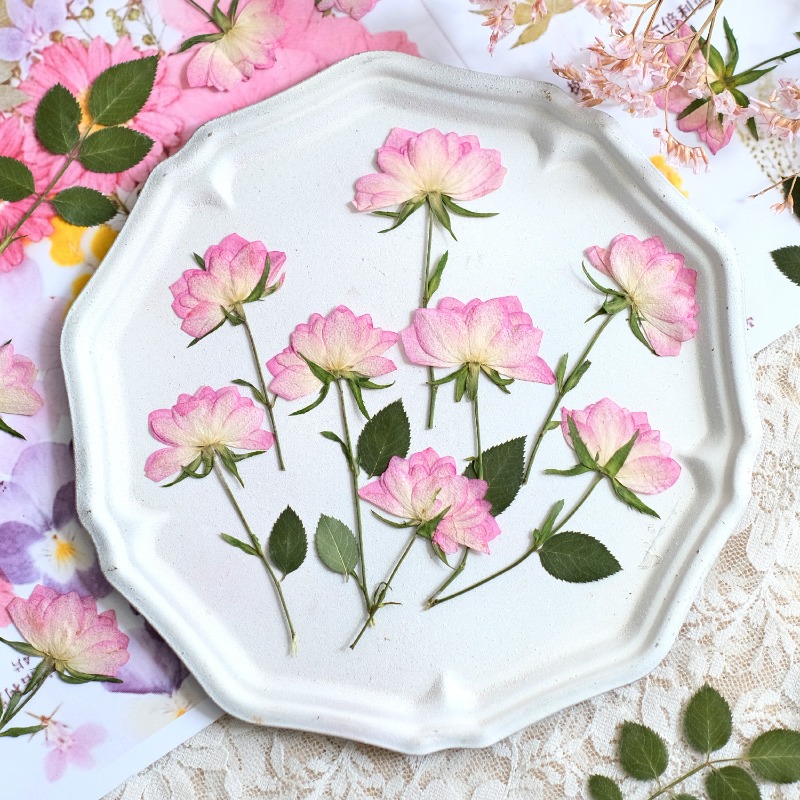 Resin Art Baby - 12pcs,Real Dried Pressed Flowers for Phone
