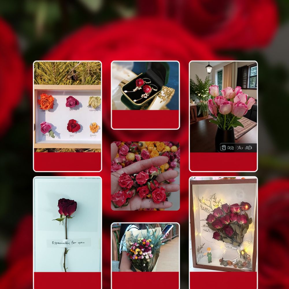 Natural Dried Rose Flower Bouq - Resin Art Rose 评论和价格