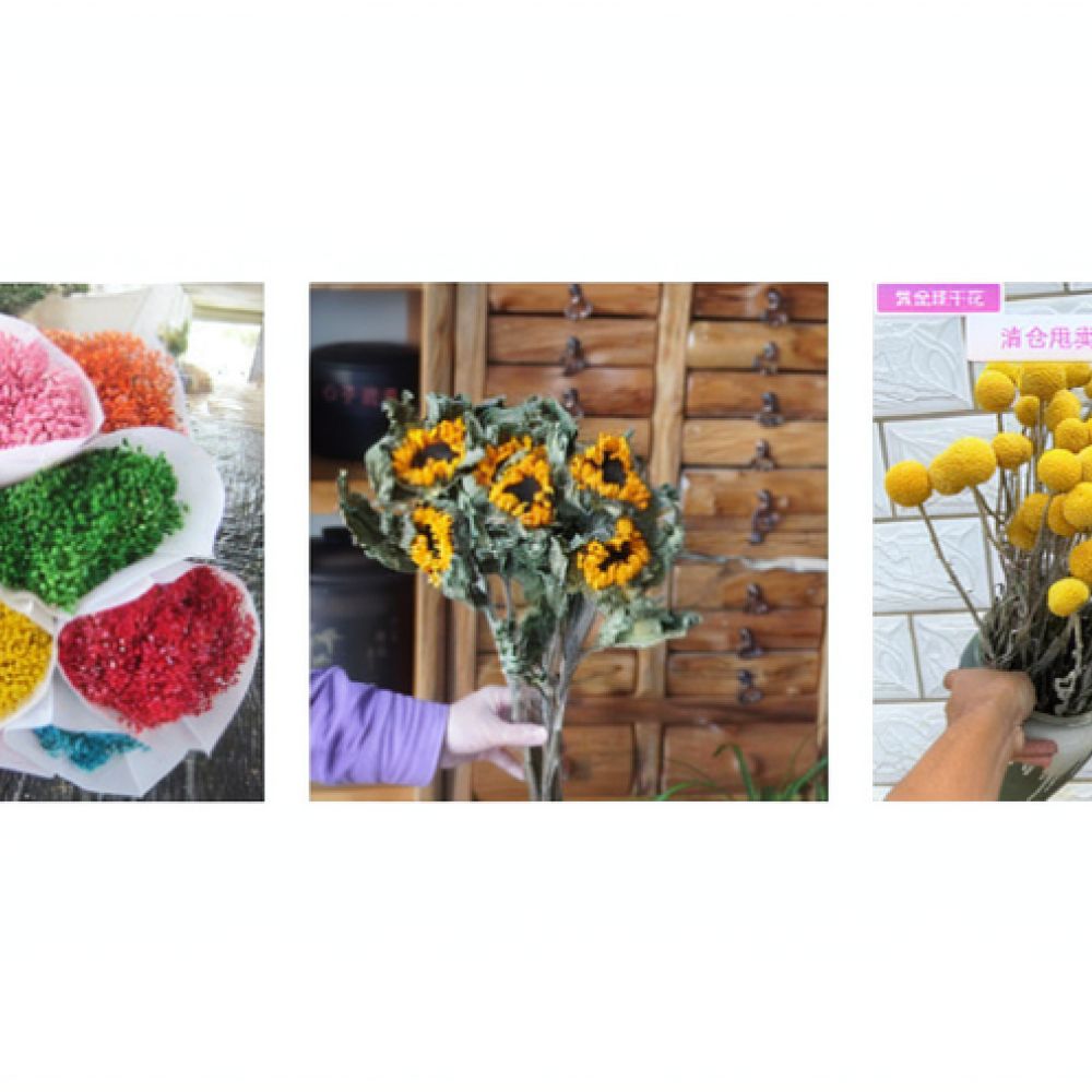 Natural Dried Rose Flower Bouq - Resin Art Rose 评论和价格